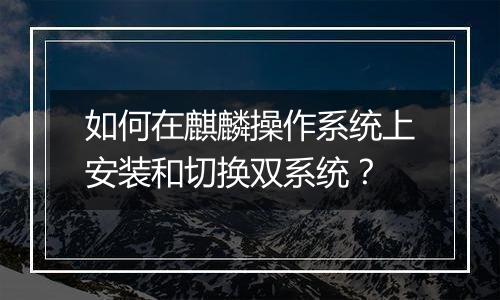 如何在麒麟操作系统上安装和切换双系统?
