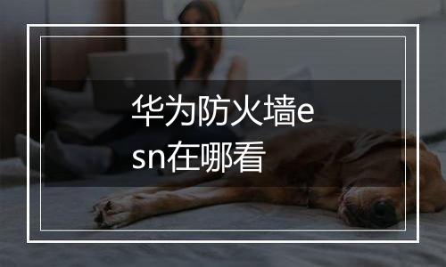 华为防火墙esn在哪看