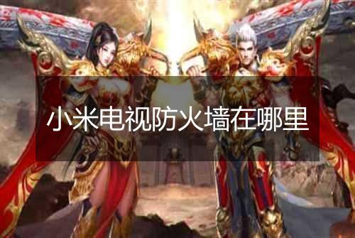 小米电视防火墙在哪里