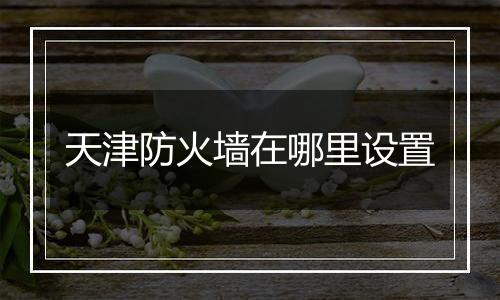 天津防火墙在哪里设置