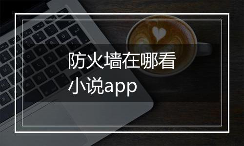 防火墙在哪看小说app