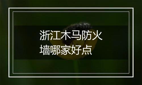 浙江木马防火墙哪家好点
