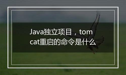 Java独立项目,tomcat重启的命令是什么