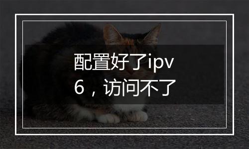 配置好了ipv6,访问不了