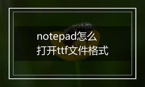 notepad怎么打开ttf文件格式