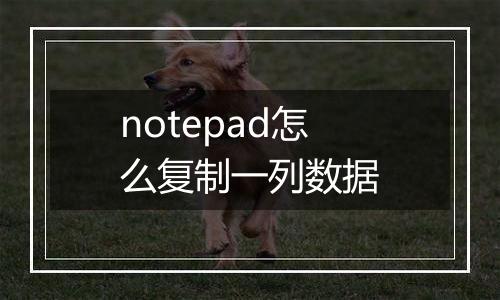 notepad怎么复制一列数据