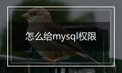怎么给mysql权限