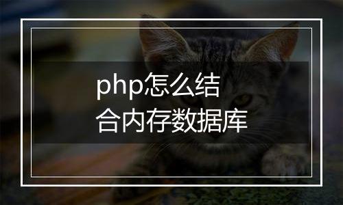 php怎么结合内存数据库