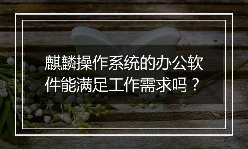 麒麟操作系统的办公软件能满足工作需求吗？