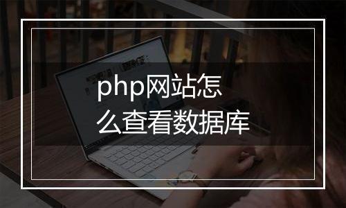 php网站怎么查看数据库