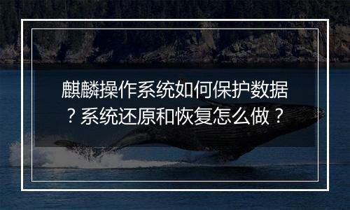 麒麟操作系统如何保护数据?系统还原和恢复怎么做?