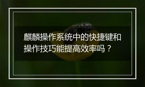 麒麟操作系统中的快捷键和操作技巧能提高效率吗?