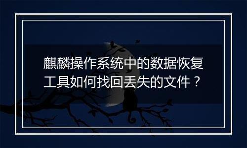 麒麟操作系统中的数据恢复工具如何找回丢失的文件？