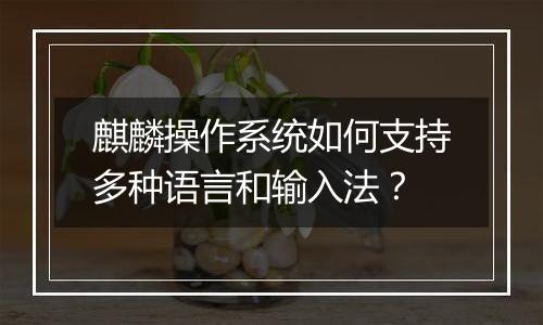 麒麟操作系统如何支持多种语言和输入法?