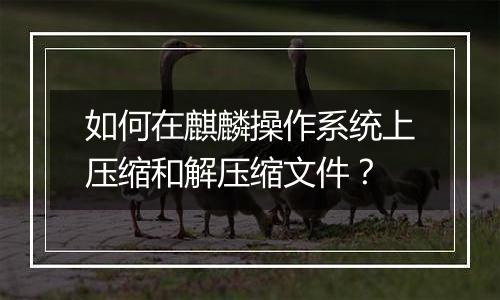如何在麒麟操作系统上压缩和解压缩文件?