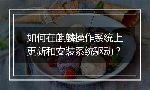 如何在麒麟操作系统上更新和安装系统驱动?