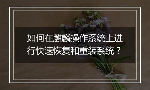 如何在麒麟操作系统上进行快速恢复和重装系统?