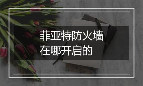 菲亚特防火墙在哪开启的