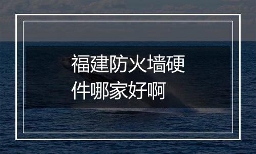 福建防火墙硬件哪家好啊