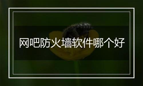 网吧防火墙软件哪个好