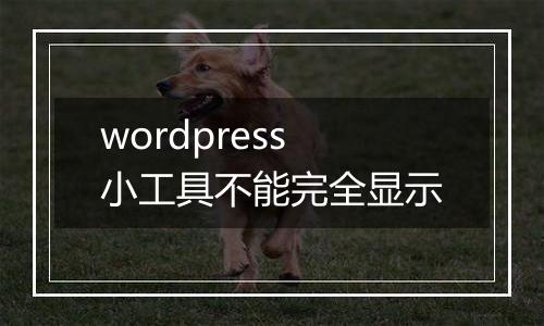 wordpress小工具不能完全显示