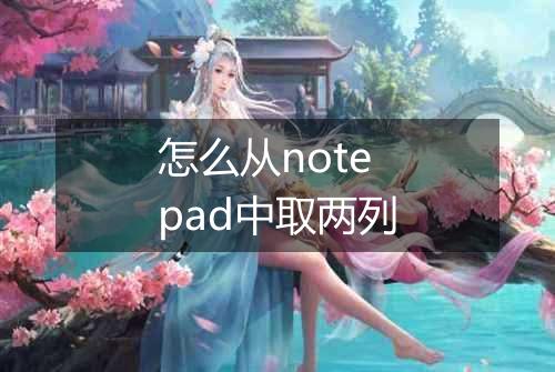 怎么从notepad中取两列
