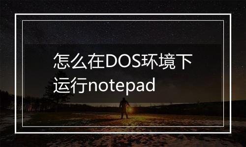 怎么在DOS环境下运行notepad