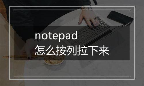 notepad怎么按列拉下来