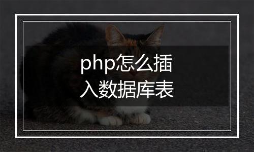 php怎么插入数据库表