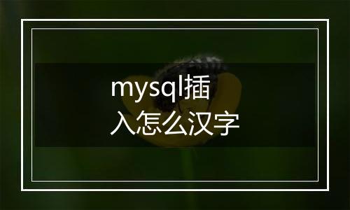 mysql插入怎么汉字