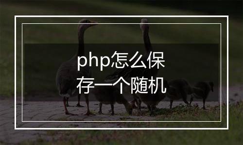 php怎么保存一个随机