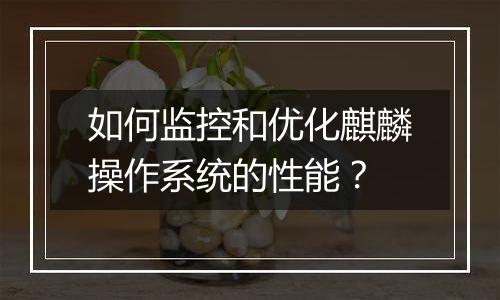 如何监控和优化麒麟操作系统的性能?