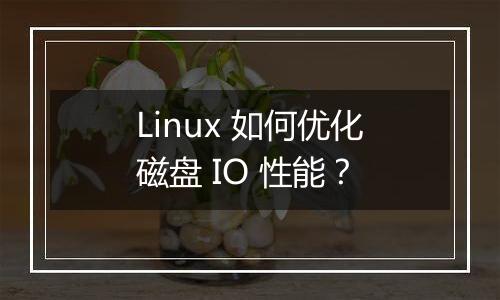 Linux 如何优化磁盘 IO 性能?