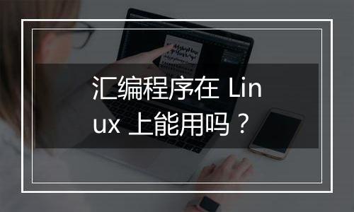 汇编程序在 Linux 上能用吗?