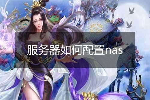 服务器如何配置nas