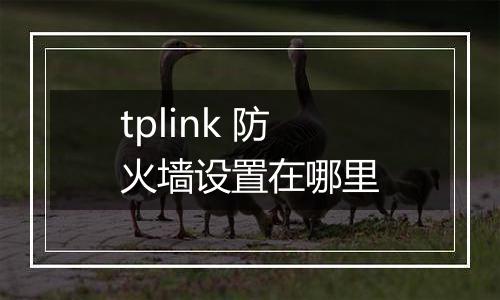tplink 防火墙设置在哪里
