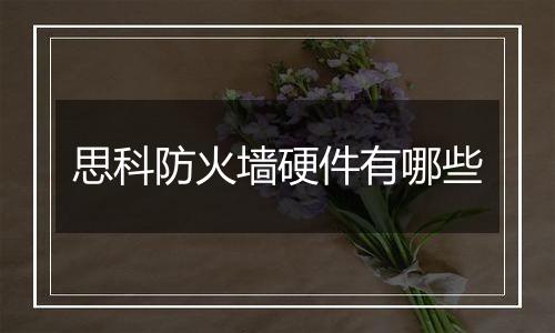 思科防火墙硬件有哪些