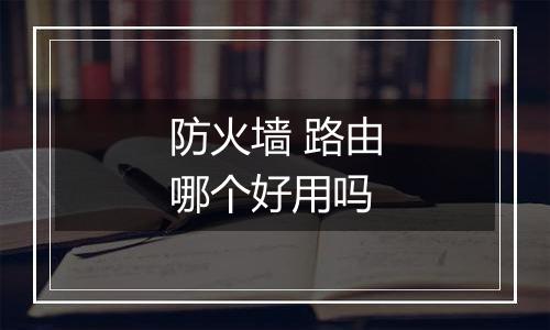 防火墙 路由哪个好用吗