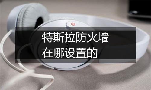 特斯拉防火墙在哪设置的