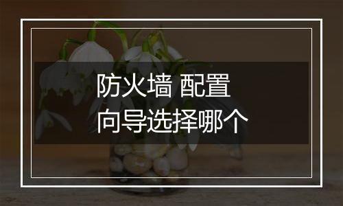 防火墙 配置向导选择哪个