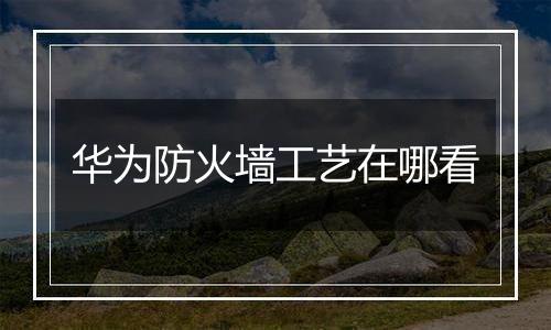 华为防火墙工艺在哪看