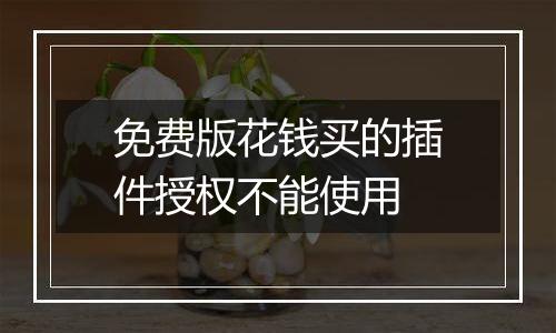 免费版花钱买的插件授权不能使用