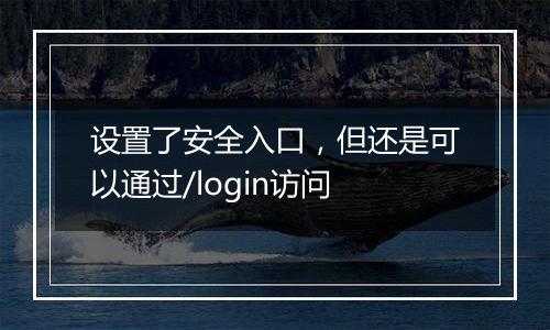 设置了安全入口,但还是可以通过/login访问