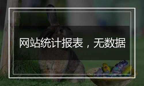 网站统计报表,无数据