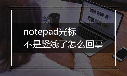 notepad光标不是竖线了怎么回事