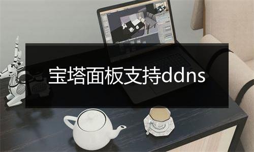 宝塔面板支持ddns