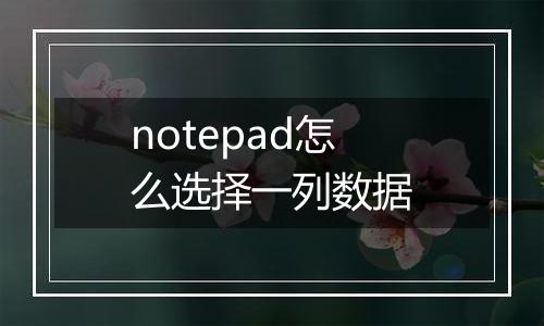 notepad怎么选择一列数据