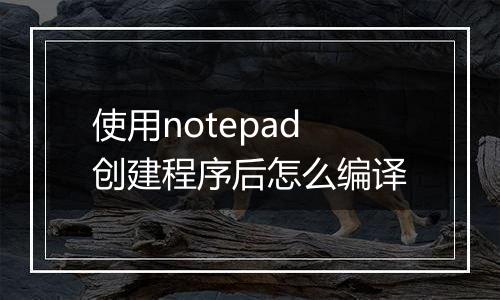 使用notepad创建程序后怎么编译