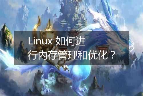 Linux 如何进行内存管理和优化?