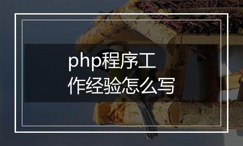 php程序工作经验怎么写